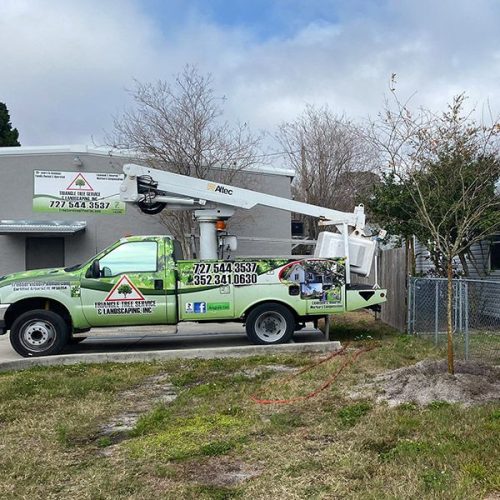 Triangle Tree Service and Landscaping company truck