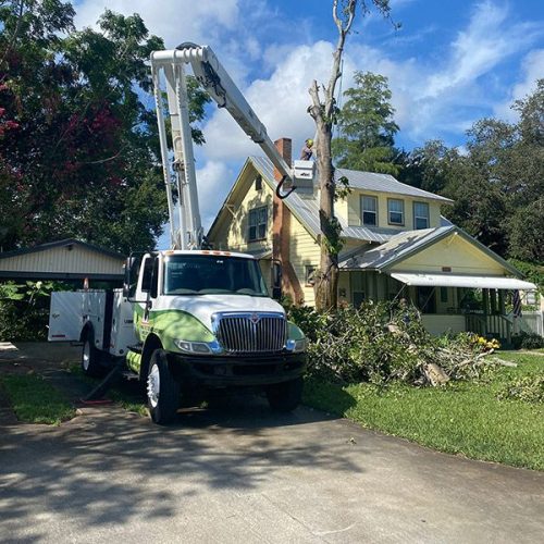 Triangle Tree Service bucket truck at a residential job