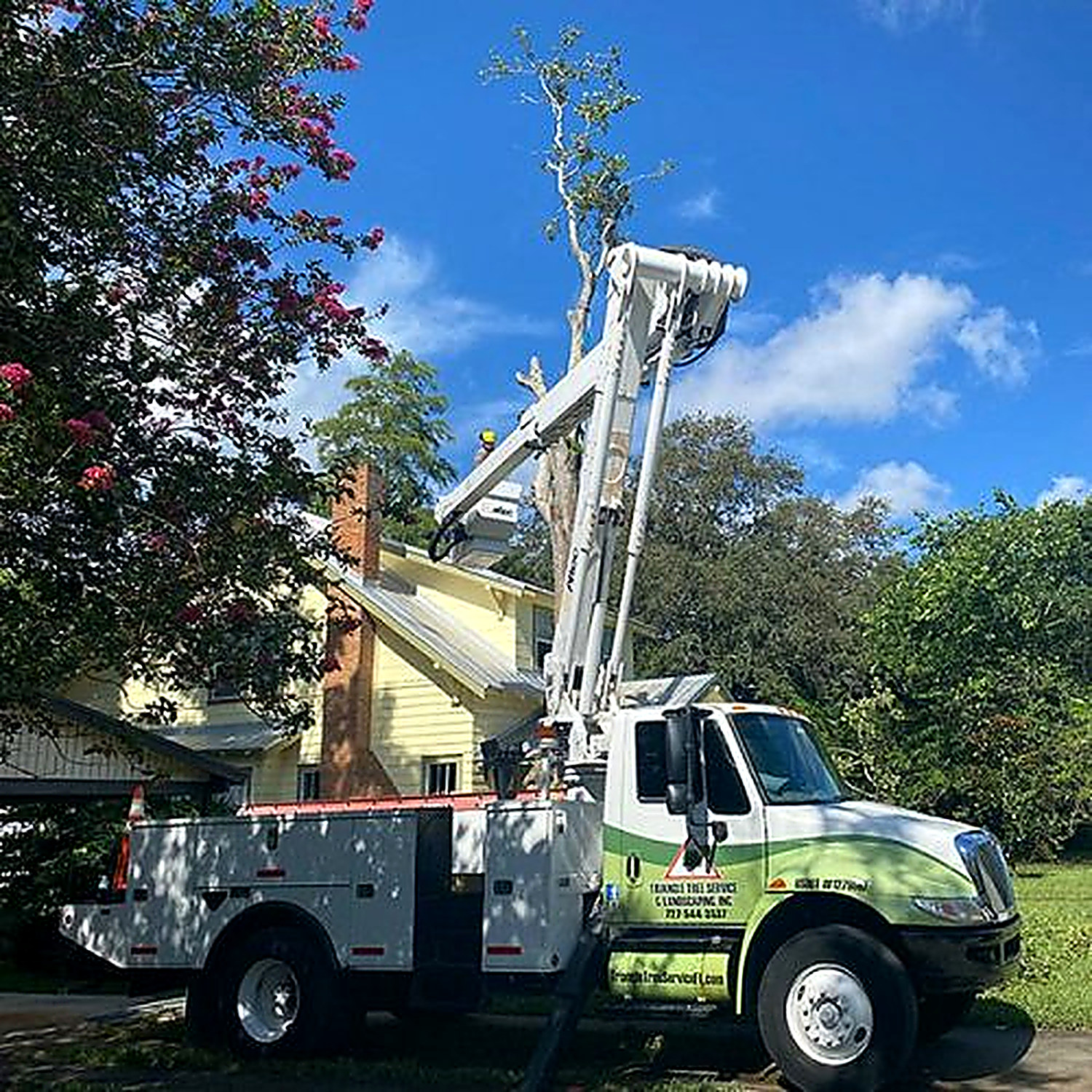 Bucket truck with the boom raised into a dead tree beside a yellow house