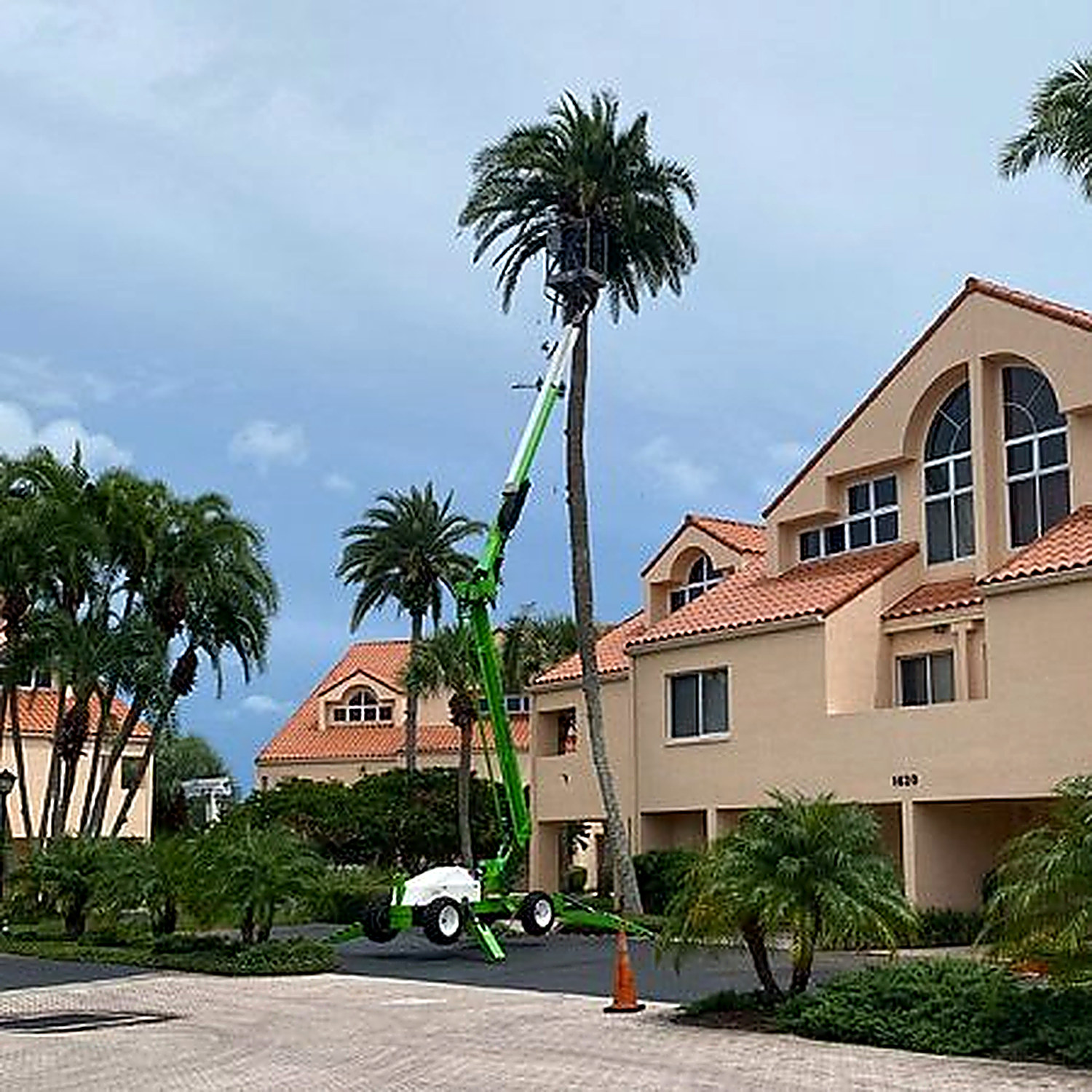 Triangle Tree Service lift working on a tall palm at a Pinellas condominium complex