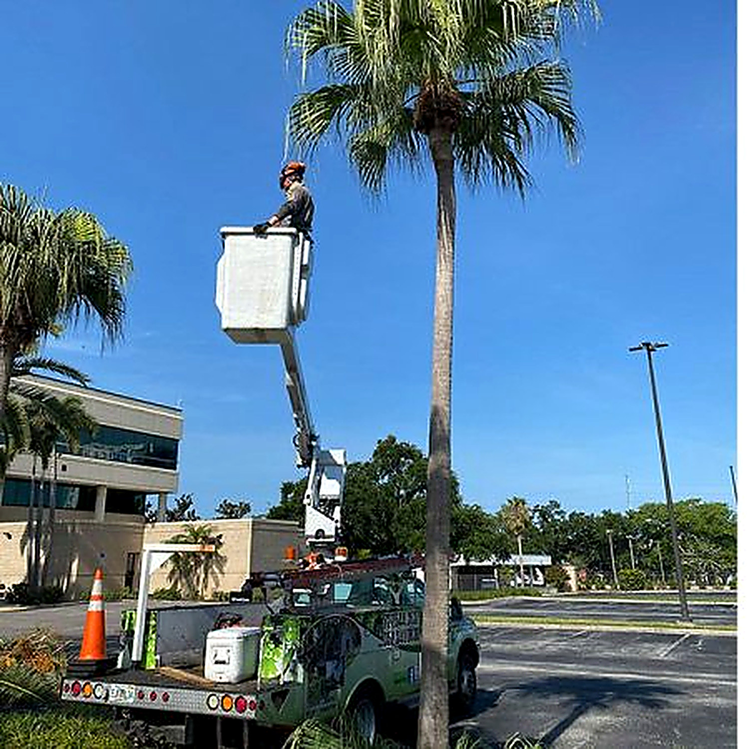 Triangle Tree Service bucket truck and crew working on a residential removal