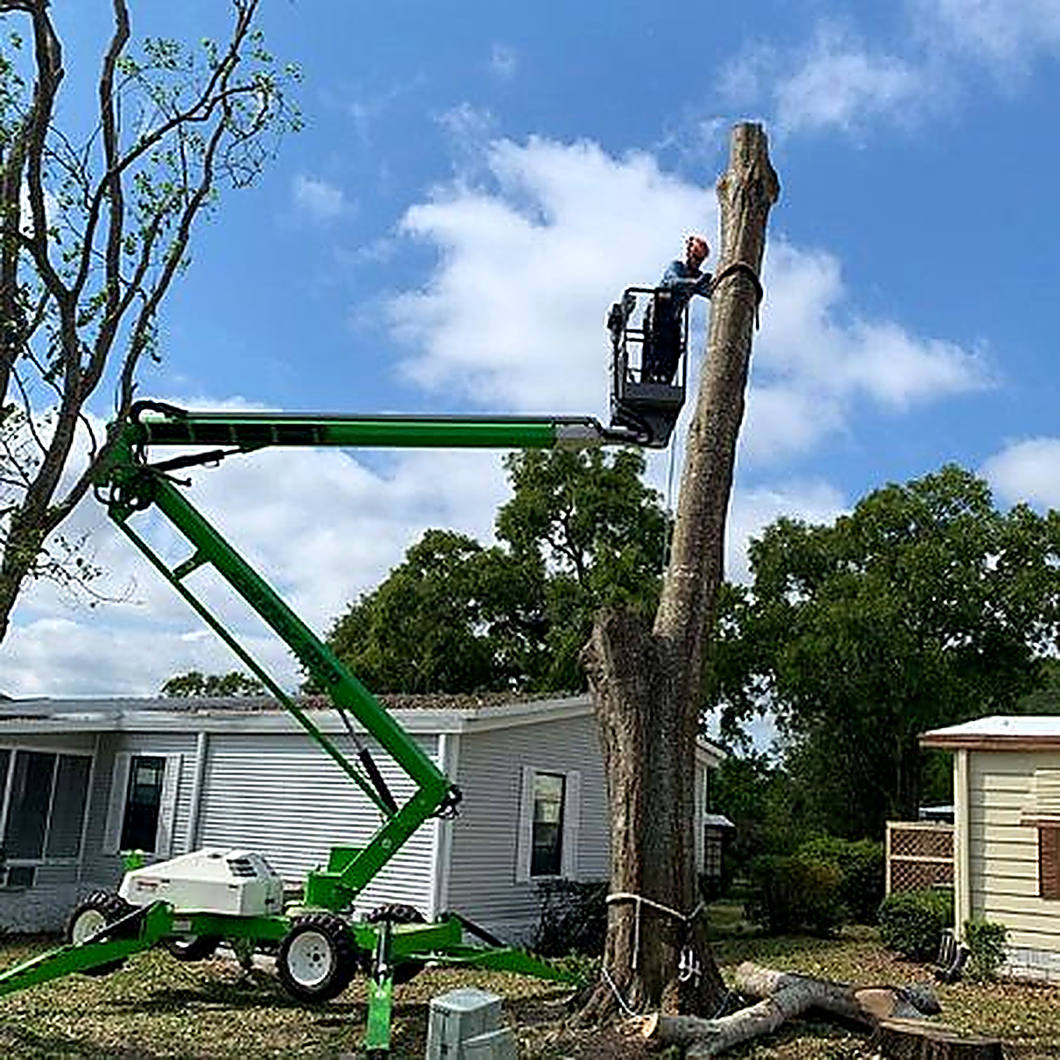 Tracked lift extended into a large bare tree beside a home